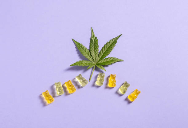 Elevate Your Routine with CBD Gummies in Canada