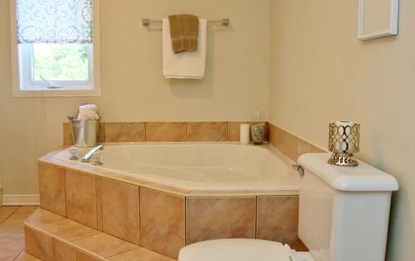 Transform Your Space with Valrico Bathroom Remodeling Services