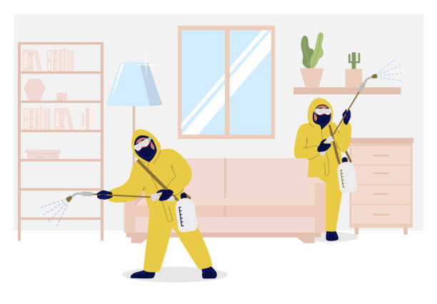 Signs You Need a Bed Bug Exterminator in New York