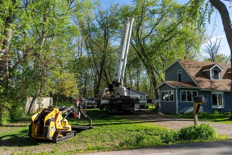 Reliable Tree Removal in Springfield with Fast Response