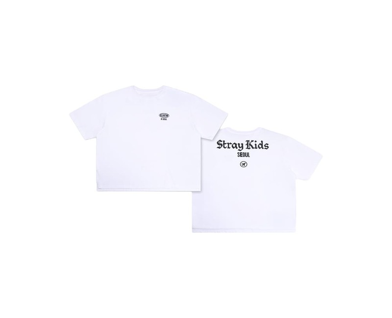 Ultimate Guide to Stray Kids MerchMerch for True Fans